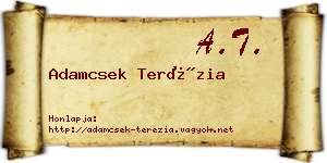 Adamcsek Terézia névjegykártya